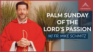 Palm Sunday of the Lords Passion  Mass with Fr Mike Schmitz [upl. by Ahsilet407]