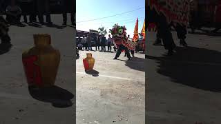 Drunken Routine Lion Dance 忠精堂龍獅團酒青舞獅 Trung Tinh Duong chinesenewyear [upl. by Krueger]