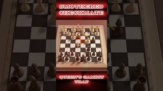 ALBIN CounterGambit trap ‼️Sneaky Checkmate just 13 MOVES jebakancatur gambit chess chessgame [upl. by Orji]