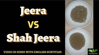 Jeera Vs Shah Jeera  Cumin seeds Vs Caraway Seeds  जीरा vs शाह जीरा  Everyday Life 230 [upl. by Eisned]