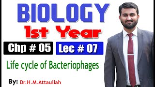 Life cycle of Bacteriophages  Chapter 5  1st year Biology  Lec  7 [upl. by Setsero]