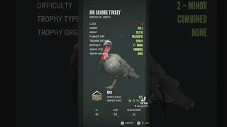 🤯 melanistic turkey my 1st RARE turkey thehuntercallofthewild tiktok gaming hunting [upl. by Strawn]