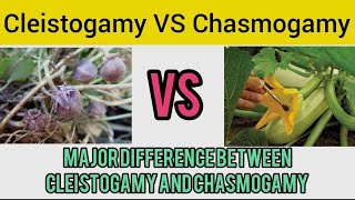 Major Difference between cleistogamy and Chasmogamy  neet cbse [upl. by Eixela]