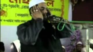 bangla waz Noumoslim DrSirajul islam siraji excelent boyan part 02 [upl. by Esiocnarf]