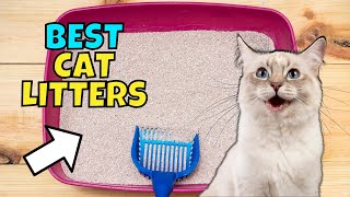 The BEST Cat Litters of 2023 Expert Recommended [upl. by Herbst]