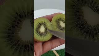 Kiwi Seeds Extraction From Fruit 🥝 kiwi kiwifruits seedsextraction [upl. by Farnsworth]