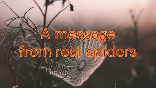 A Message from real Spiders [upl. by Aver687]