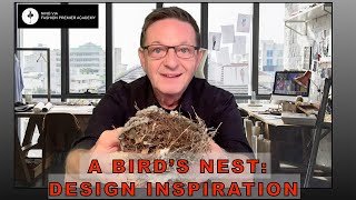 How a Bird’s Nest Inspires Fashion Design and Creativity [upl. by Negem]