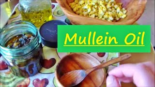 Crafting Herbal Medicine Episode 1 Mullein Oil [upl. by Abla]