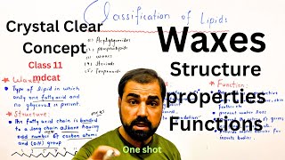 Waxes structure properties and functions  one  Classification of lipids  in Urdu Hindi [upl. by Ellennej]