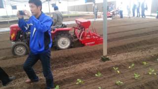 Selfpropelled two lines vegetable transplanter [upl. by Tildie917]