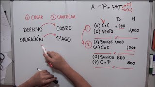 Registro de Cuentas por Cobrar y por Pagar  Creando Derechos y Obligaciones [upl. by Amlet]