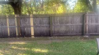 6 Clermont Lane Palm Coast FL 32137 [upl. by Dyrrej]