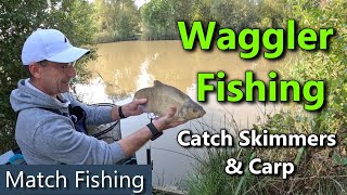 Waggler Fishing  Autumn Fishing for Silvers and Carp [upl. by Cleopatra]