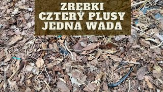 Jak wykorzystać zrębki w ogrodzie DUŻO PLUSÓW JEDEN MINUS [upl. by Anawad]