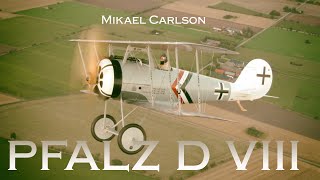 Mikael Carlson Pfalz D VIII Long filmversion Jesper Rådegård Aviation Video [upl. by Alanson]