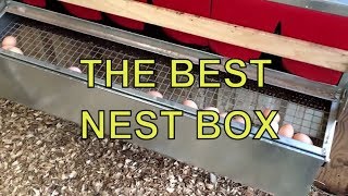 BEST NEST BOX  THE ULTIMATE CHICKEN LAYING BOX [upl. by Raynell]