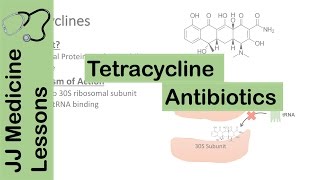 Tetracycline Antibiotics [upl. by Slack370]