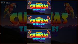 CUMBIAS TROPICALES PARA BAILAR🌻TROPICAL FLORIDAEL NEGROACAPULCO TROPICAL💃CUMBIAS TROPICAL MIX [upl. by Hines]