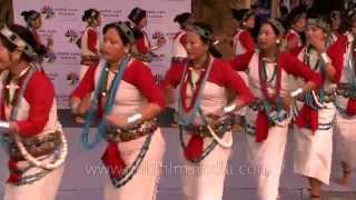 Nyishi women dancers from Arunachal Pradesh perform Rikham Pada dance [upl. by Griffie]