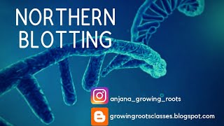 NORTHERN BLOTTING  Detailed Explanation In Malayalam  RNA Separation Technique  Zoology  Botany [upl. by Herald472]