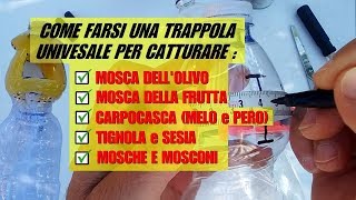 TRAPPOLA UNIVERSALE PER INSETTI DELLA FRUTTA [upl. by Tildie543]