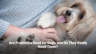 Are Probiotics Good for Dogs and Do They Really Need Them [upl. by Ahern]