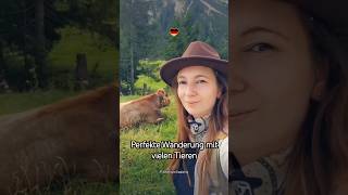 Perfekte Wanderung mit vielen Tieren [upl. by Anihta]