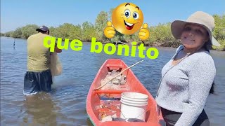 los toco pescar en un bonito lugar y agarramos muchos pescaditos para comer bien doraditos🐟🐟🙏🙏🇸🇻🐠🐠🌊 [upl. by Cornwell]