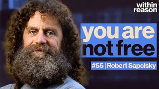 Theres No Free Will What Now  Robert Sapolsky [upl. by Nuncia]