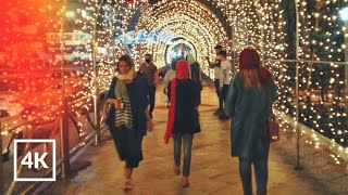 Night Walk to Tajrish in Valiasr Tehran 4K  🎧 Binaural Sound [upl. by Hylton]