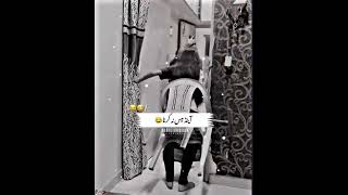 funny video funny foryou funnyvideo viral trending tiktok comedy crew memes un love duet [upl. by Heron297]