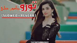 Toro jamo ke ajeba khkare slow reverb pashto new song pa sro jamo ke sra slowedreverbdardona [upl. by Adnahs159]