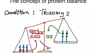 Meiosis nondisjunction and aneuploidy [upl. by Hacim117]