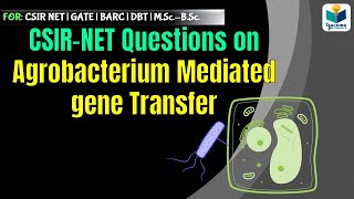 CSIR NET SOLVED QUESTIONS  Agrobacteium mediated gene transfer Part2 [upl. by Leipzig]