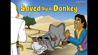 Saved By A Donkey  The Adventures of Balaam [upl. by Darryl193]