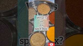 Spice box tour youtubeshorts shorts spicebox spices indianspice viralvideo song gunjan [upl. by Frechette655]