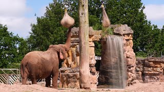 CHESTER ZOO Short visit [upl. by Schnurr]