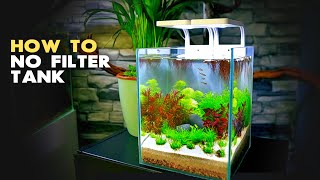 Aquascape Tutorial 3 gal Nano Aquarium w Chili Rasbora How To Step By Step No Filter Guide [upl. by Magree]