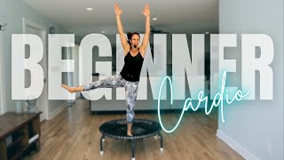 Beginner Trampoline Workout  Rebounder Cardio  Jump it [upl. by Tollman]