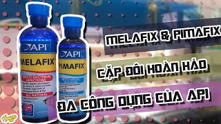 Vlog 023  Cặp đôi hoàn hảo Pimafix amp Melafix đa công dụng  Pimafix and Melafix of API [upl. by Aihsel618]