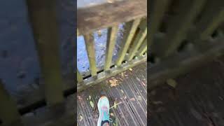 Pooh Sticks at Okehampton River Anyone else find this satisfying asmr river water poohsticks [upl. by Annatsirhc]