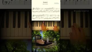 Bluebird  Alexis Ffrench 🎹 Piano pedal sheetmusic 알렉시스 프렌치 피아노페달 악보 [upl. by Melodie]