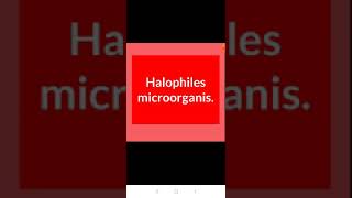 Halophiles microorganism [upl. by Oppen]