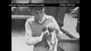 Liverpool Docks Mid 1950s Archive film 99332 [upl. by Ailes752]