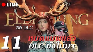 วอร์มจนจบเกมแล้ว DLC Elden Ring ก็ยังไม่มา 11 [upl. by Igic133]