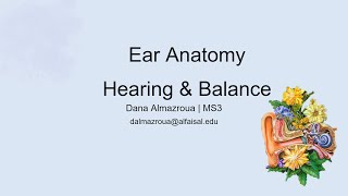 Ear  Hearing amp Balance  Dana Almazroua  HNS 242 PAL review session [upl. by Herring]