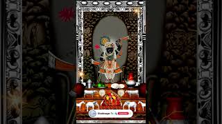 Aaj Ka Darshan Ashwin Shukla Ashtami 25 September 2024 Shrinathji ke Darshan [upl. by Naitirb]