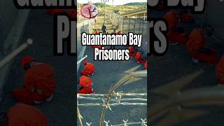 Guantanamo Bay Prison [upl. by Alper38]