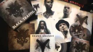 Skunk Anansie  Our Summer Kills The Sun Black Traffic [upl. by Sisile]